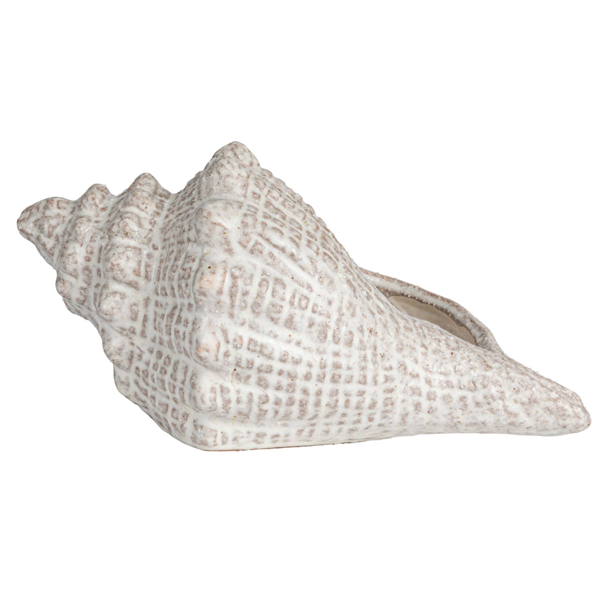 Hello Honey® 10.25" White Reactive Glaze Conch Shell Stoneware Tabletop Décor